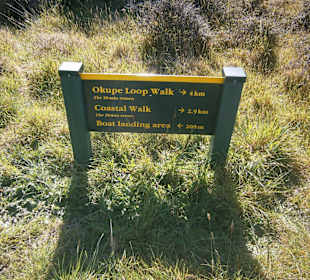 Walks