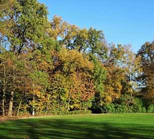 Herbstspaziergang durch den Bürgerpark Bremerhaven