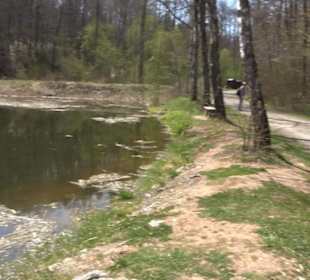 Spazierweg Ritter Museum