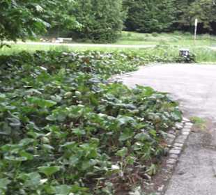 Alter Botanischer Garten