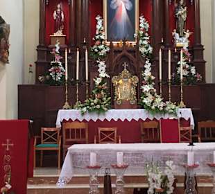 Stadtrundgang Costa Adeje