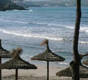 Am Strand Tora in Paguera