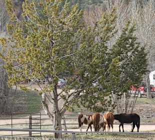 Indian Village Trading Post