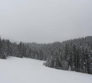 Widoki z Pasieka Express