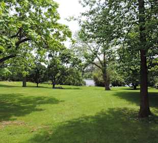 Im Western Springs Park