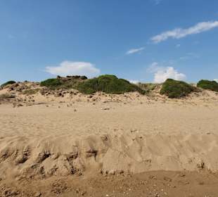 Die Dünen Gündogdu