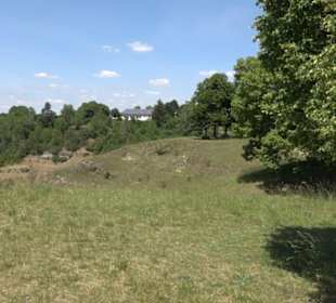 Burg Kräheneck Reusten