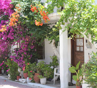 Blütenträume in Sarti