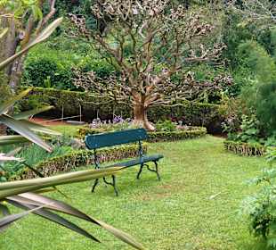 Palheiro Gardens