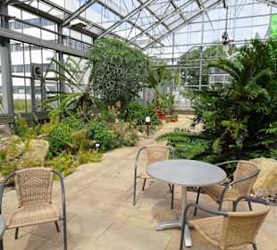Eindrücke aus dem Botanischen Garten Düsseldorf