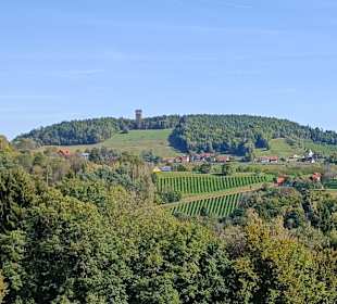 Aussichtswarte Demmerkogel