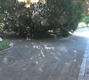 Botanischer Garten 