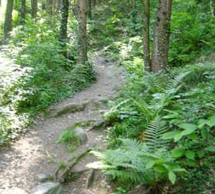 Wanderweg nach Saltaus