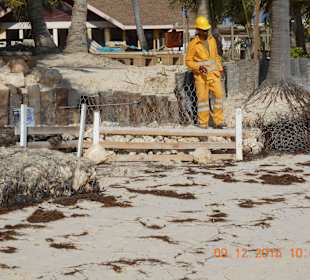 Natur hat bei diesem Hotel zugeschlagen