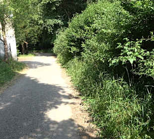Rundwanderung Klingenbachtal - Sulzbachsee