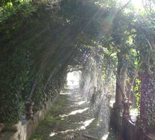 Auf Knopfdruck gibt es die Wasserspiele