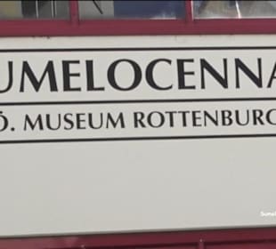 Sumelocenna-Museum