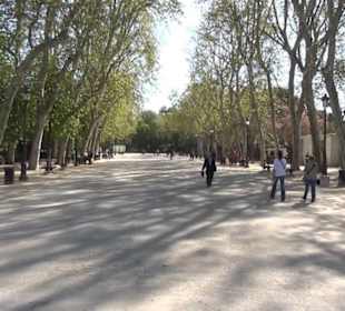 Estanque grande del Retiro