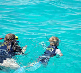 Meine Jungs beim Schnorcheln