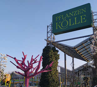Pflanzen-Kölle Gartencenter