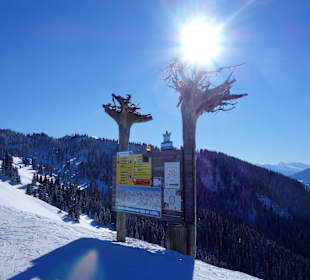 Sonnenschein beim Skifahren