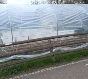 Zoologischer Stadtgarten