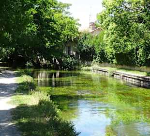 Rundgang durch die Altstadt