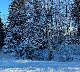 Wandern Allrode