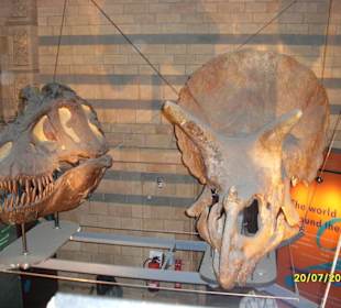 Dinosaurierausstellung