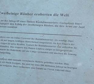 Dinosaurier Museum Altmühltal