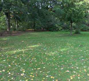 Englischer Garten