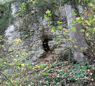 Obere Diepoldsburg