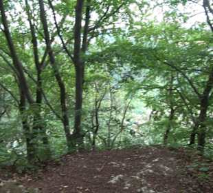 Hochgeträumt Premiumwanderung