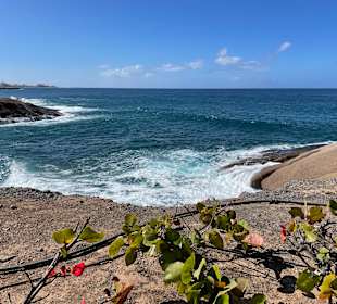 Wandern La Caleta de Adeje