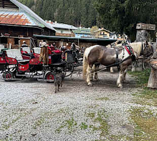 Wandern St. Johann im Pongau