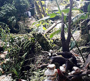 Aguas Calientes - Machu Picchu Pueblo