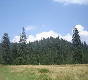 Parcul Natural Apuseni