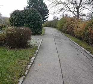Friedhof Belsen