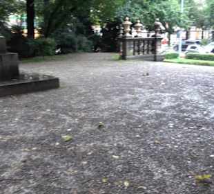 Pettenkofer-Denkmal