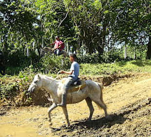 Tropical Jeep Safari