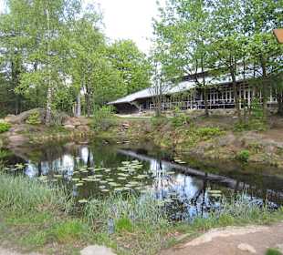 Umgebung