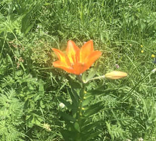 Wandern Prägraten am Großvenediger