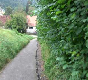 Altwege Rundwanderung Bebenhausen