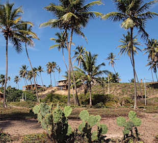 Strand von Imbassai