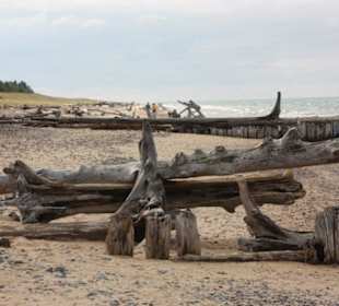 Strand von Whitefish Point