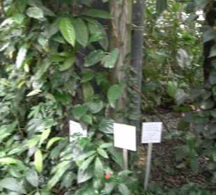 Tropicarium