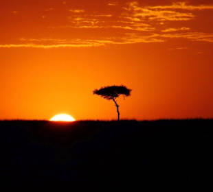 Sonnenaufgang Masei Mara