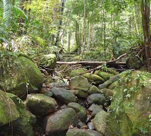 Beschilderter Dschungelpfad am Damai Beach