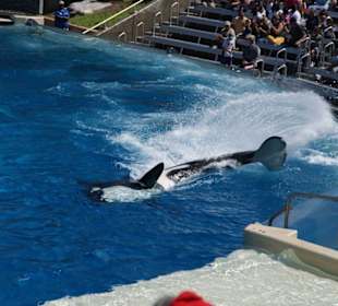 Wer duschen möchte, sitzt vorne!