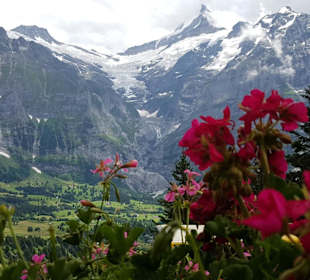 Blick von der Terrasse des Waldspitz